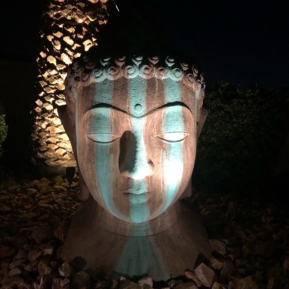 Meet your Posher, Thomas - Picture 1 of 1